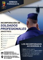 INCORPORACION DE SOLDADOS PROFESIONALES