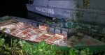 IMPORTANTE INCAUTACIÓN DE PRODUCTOS FRUTIHORTICOLAS DE CONTRABANDO POR LA ARMADA PARAGUAYA- PREFECTURA GENERAL NAVAL